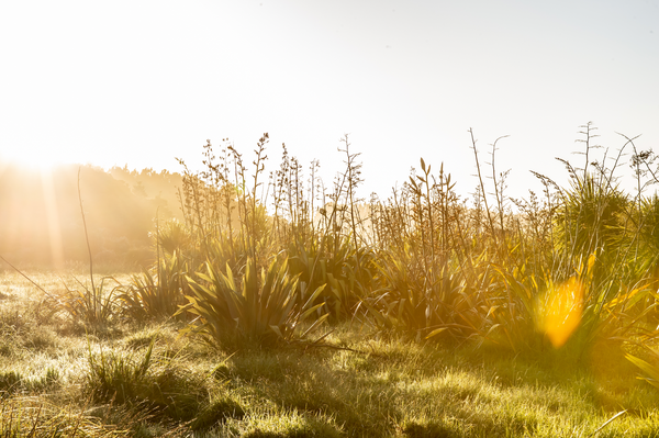 Rethink your routine this Spring: our top tips for switching up your skincare this season